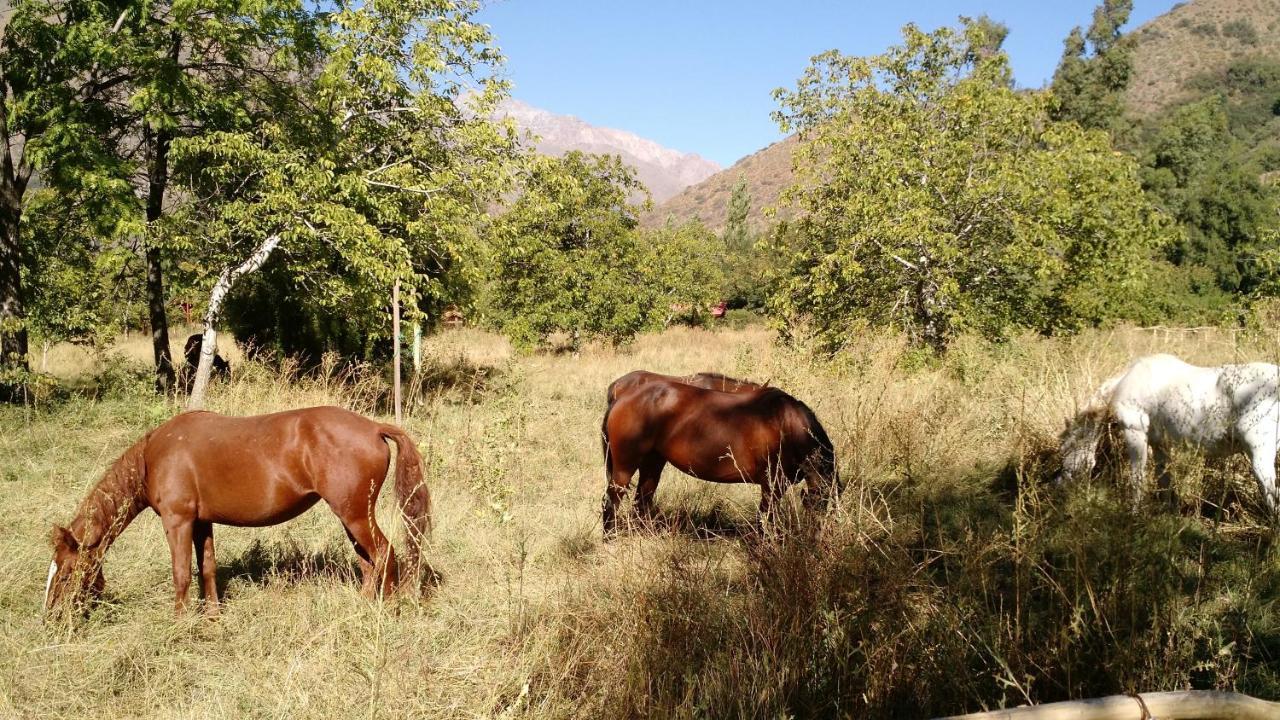 Cascada Lodge Cajon Del Maipo Сан-Хосе-де-Майпо Екстер'єр фото